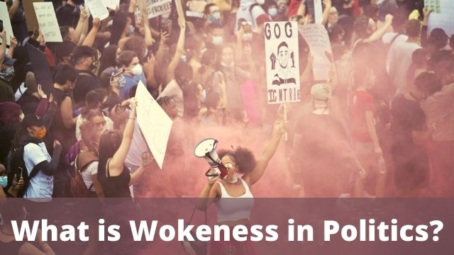 What is Wokeness in Politics