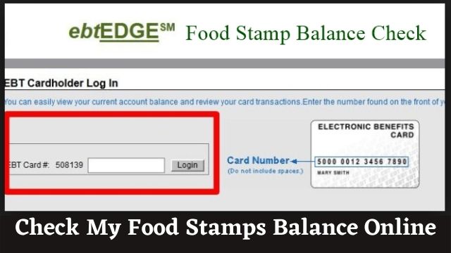 check food stamp Balance online